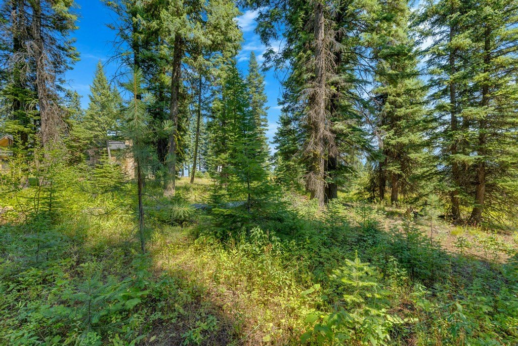 Donnelly, Idaho, 83615, United States, ,Land,Forsale,1996711