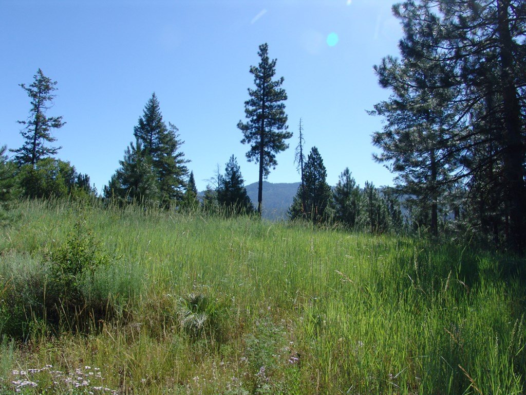 Cascade, Idaho, 83611, United States, ,Land,Forsale,1996719