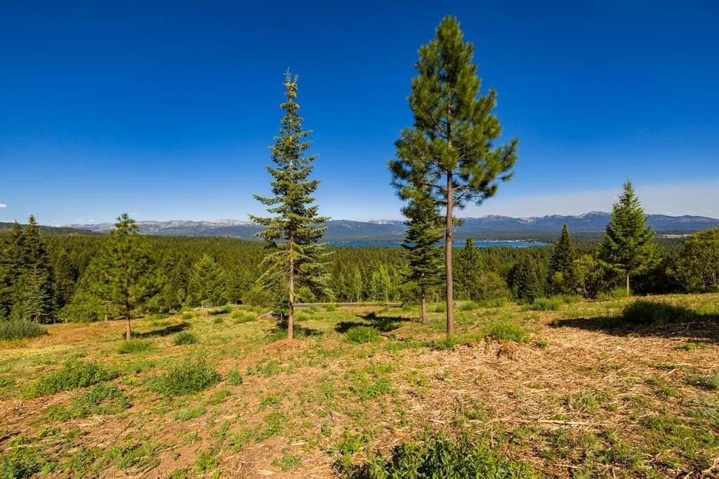 McCall, Idaho, 83638, United States, ,Land,Forsale,1946145