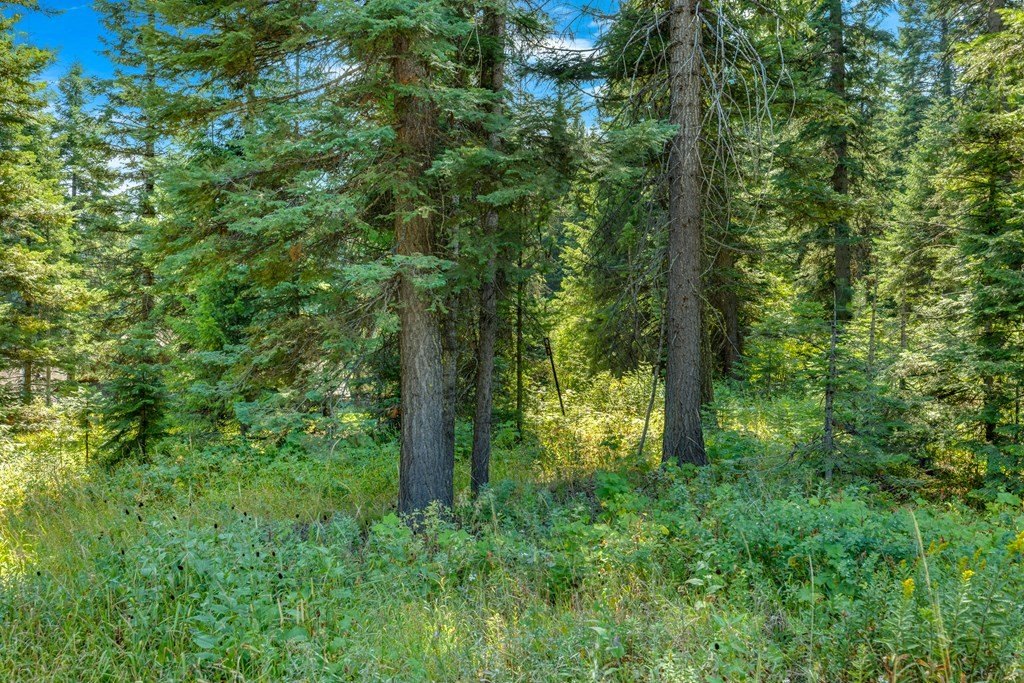 Donnelly, Idaho, 83615, United States, ,Land,Forsale,1996711