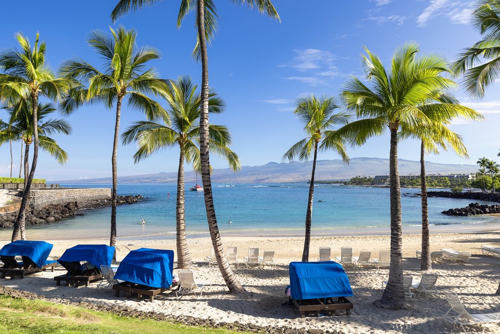 Kamuela, Hawaii, 96743, United States, ,Land,Forsale,2004409