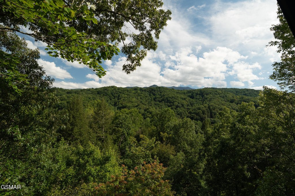 Gatlinburg, Tennessee, 37738, United States, 3 Bedrooms Bedrooms, ,3 BathroomsBathrooms,Residential,Forsale,1960235