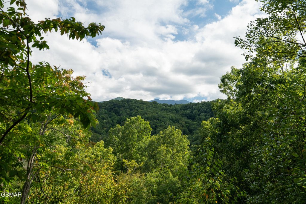 Gatlinburg, Tennessee, 37738, United States, 3 Bedrooms Bedrooms, ,3 BathroomsBathrooms,Residential,Forsale,1960235