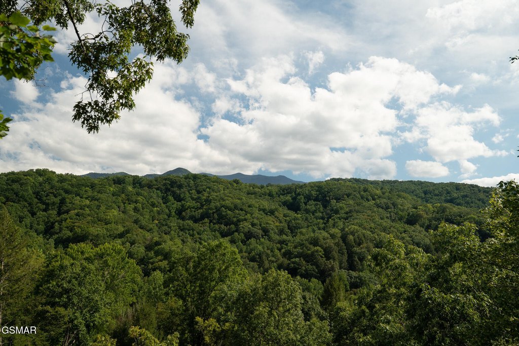 Gatlinburg, Tennessee, 37738, United States, 3 Bedrooms Bedrooms, ,3 BathroomsBathrooms,Residential,Forsale,1960235