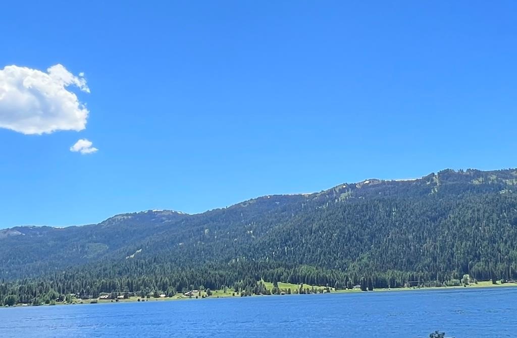 Donnelly, Idaho, 83615, United States, 3 Bedrooms Bedrooms, ,1.5 BathroomsBathrooms,Residential,Forsale,1946179