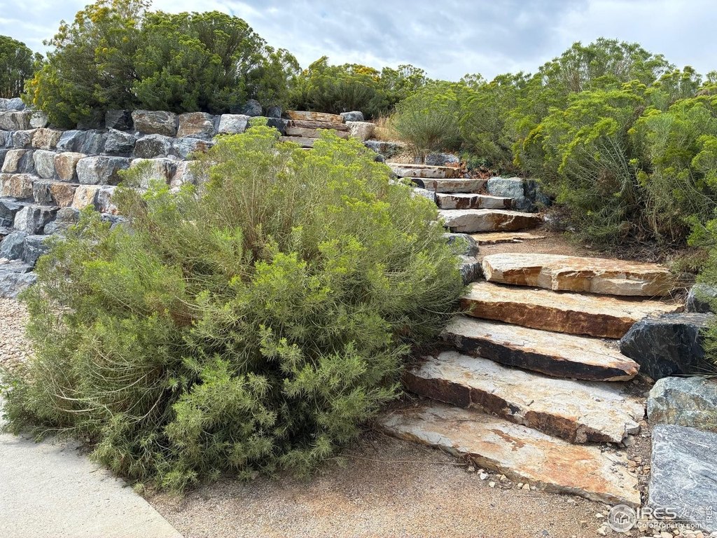 Fort Collins, Colorado, 80524, United States, 4 Bedrooms Bedrooms, ,3 BathroomsBathrooms,Residential,Forsale,1963501