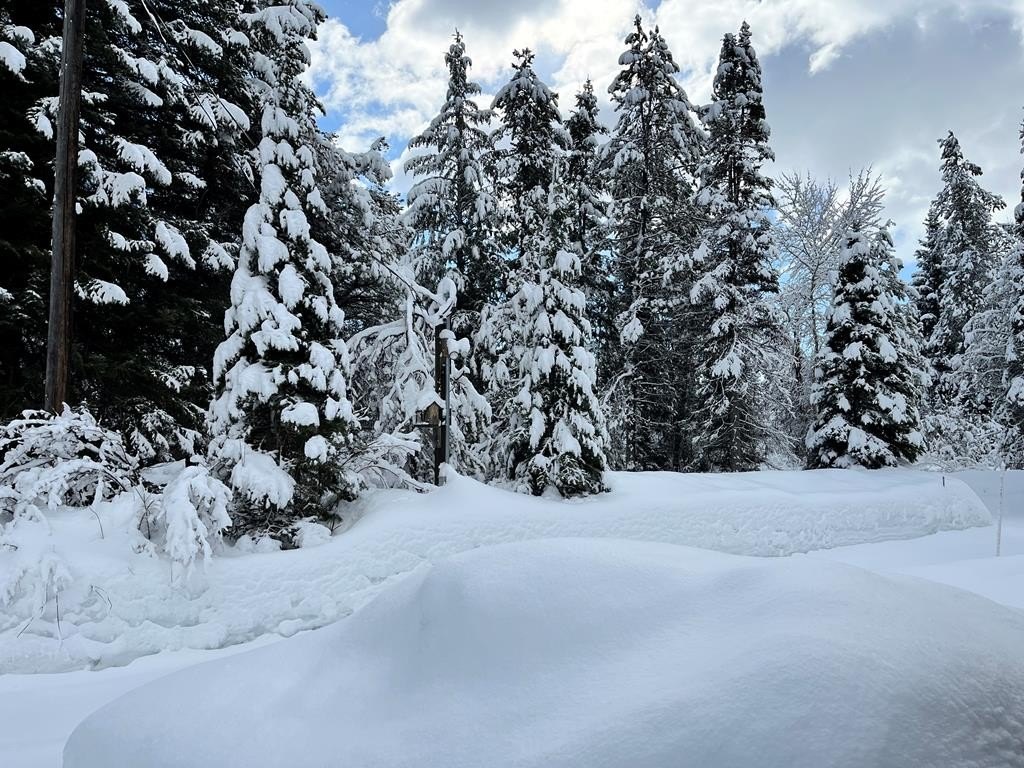 Donnelly, Idaho, 83615, United States, 3 Bedrooms Bedrooms, ,1.5 BathroomsBathrooms,Residential,Forsale,1946179