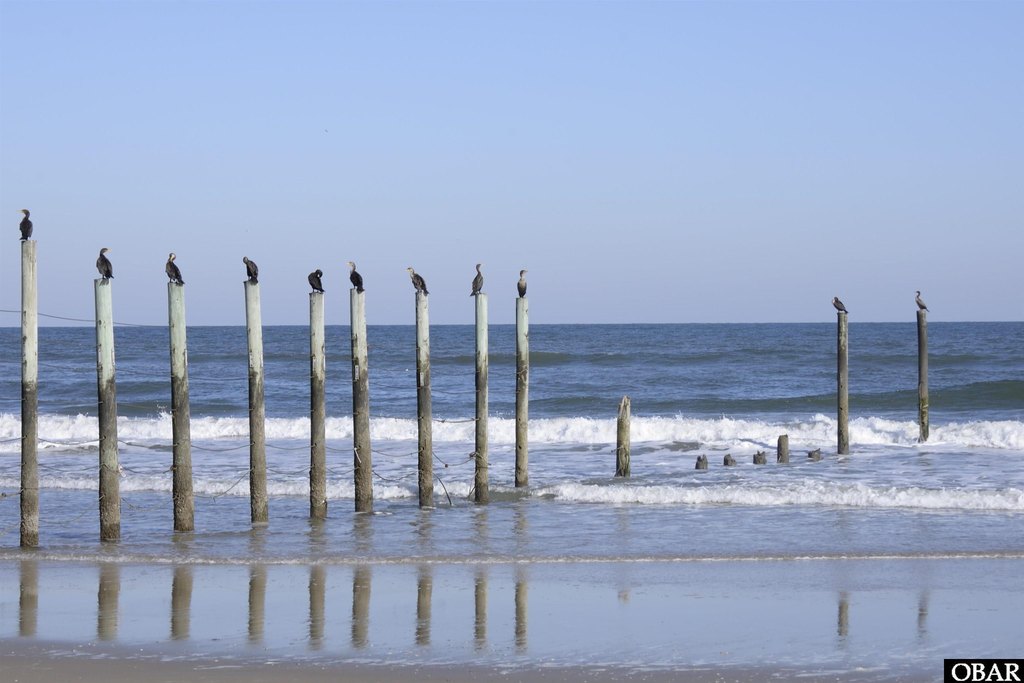 Corolla, North Carolina, 27927, United States, ,Land,Forsale,2010257