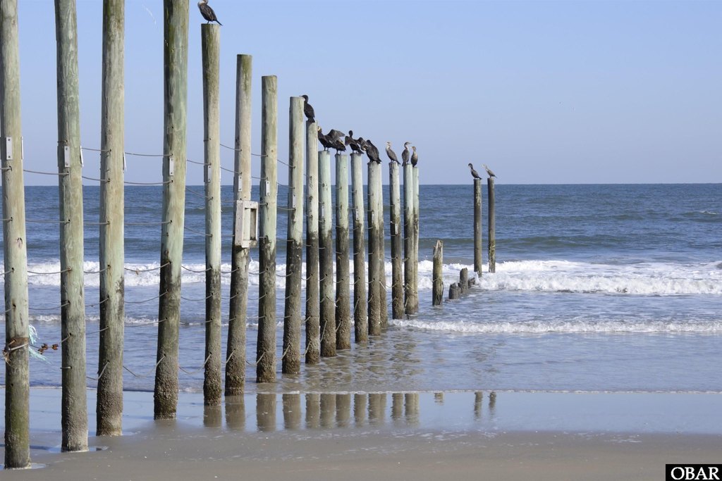 Corolla, North Carolina, 27927, United States, ,Land,Forsale,2010257