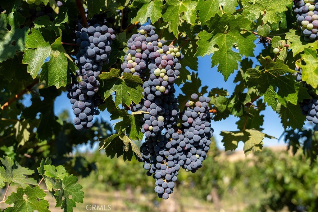 San Miguel, California, 93451, United States, ,Land,Forsale,1967188