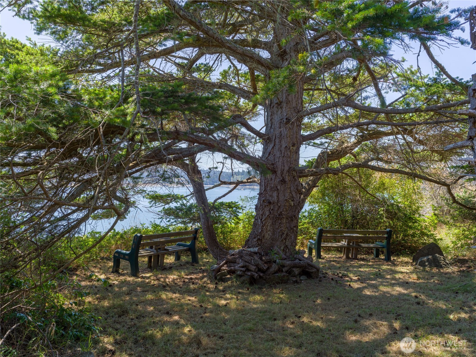 Lopez Island, Washington, 98261, United States, 4 Bedrooms Bedrooms, ,3 BathroomsBathrooms,Residential,Forsale,2004450