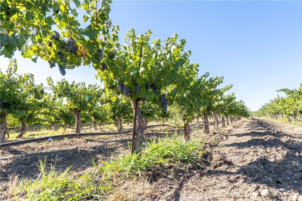 San Miguel, California, 93451, United States, ,Land,Forsale,1967188