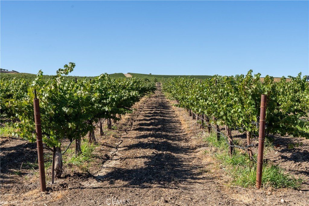 San Miguel, California, 93451, United States, ,Land,Forsale,1967188