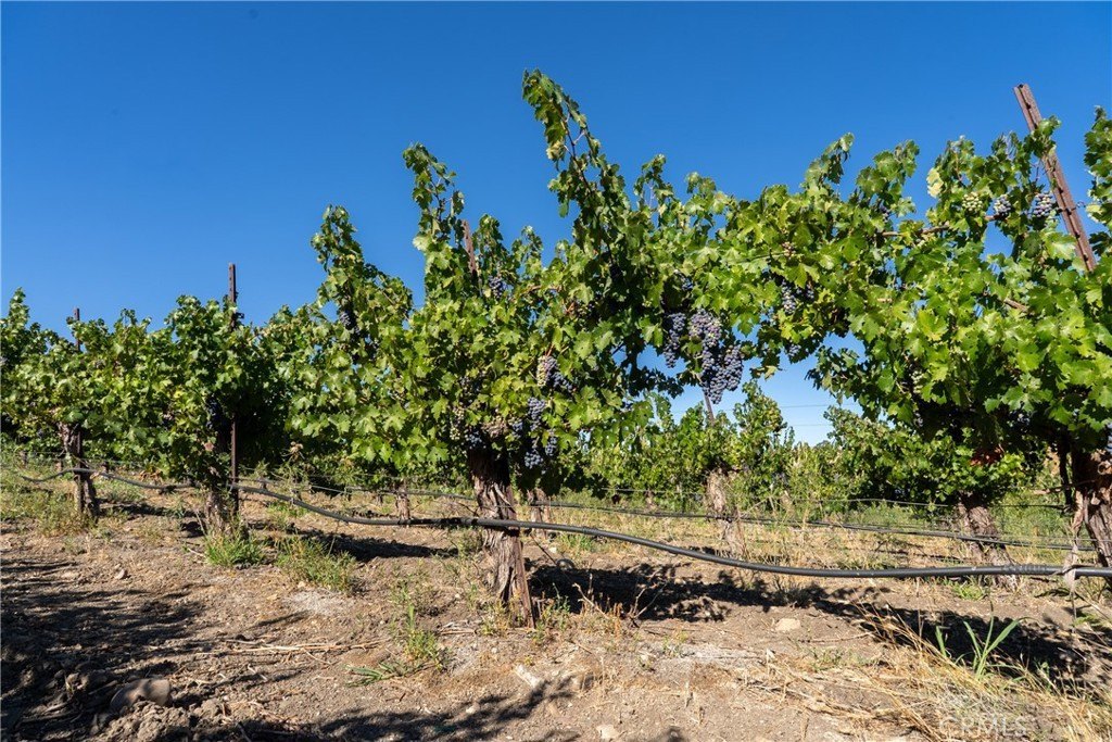 San Miguel, California, 93451, United States, ,Land,Forsale,1967188