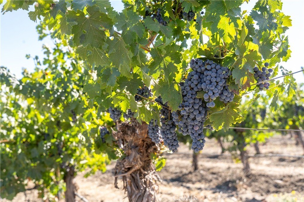 San Miguel, California, 93451, United States, ,Land,Forsale,1967188