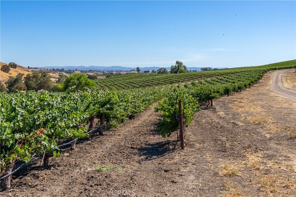 San Miguel, California, 93451, United States, ,Land,Forsale,1967188