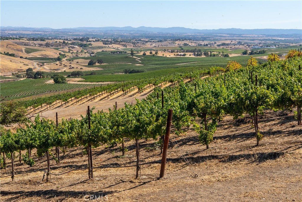 San Miguel, California, 93451, United States, ,Land,Forsale,1967188