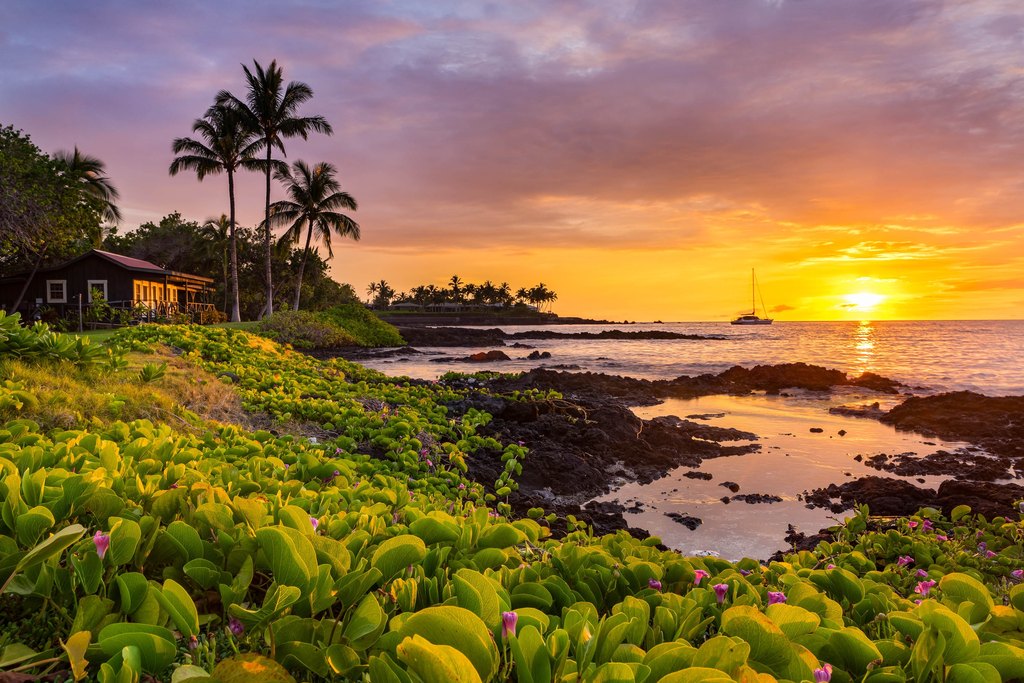 Kamuela, Hawaii, 96743, United States, 2 Bedrooms Bedrooms, ,2.5 BathroomsBathrooms,Residential,Forsale,1989817