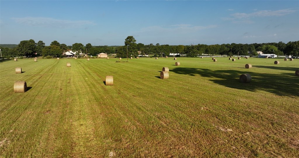 Montgomery, Texas, 77356, United States, ,Land,Forsale,1973429