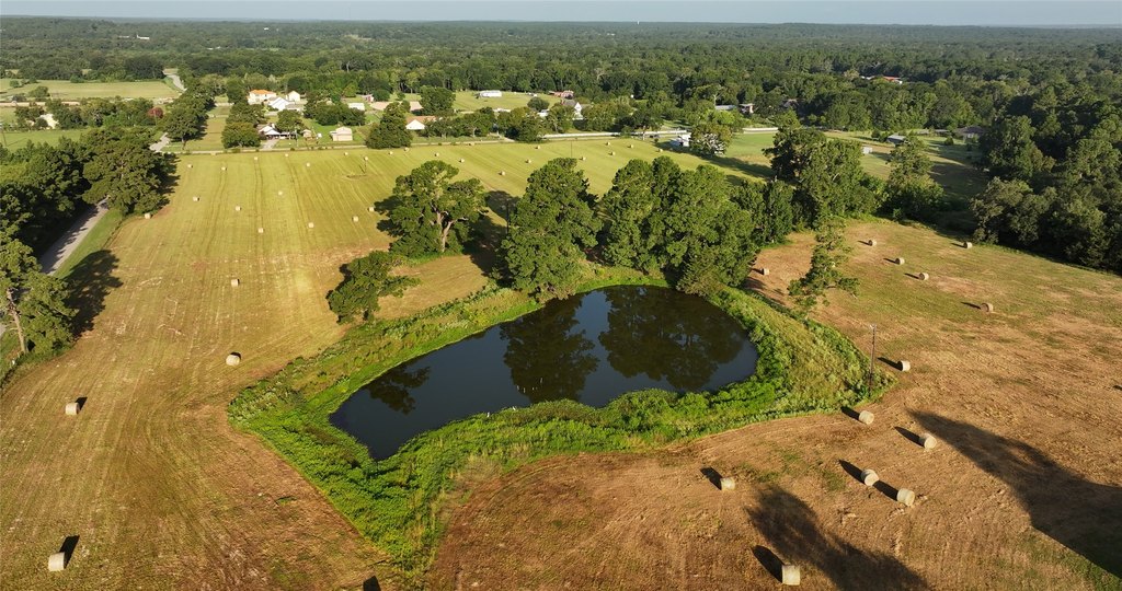 Montgomery, Texas, 77356, United States, ,Land,Forsale,1973429