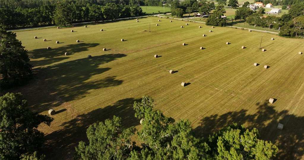 Montgomery, Texas, 77356, United States, ,Land,Forsale,1973429