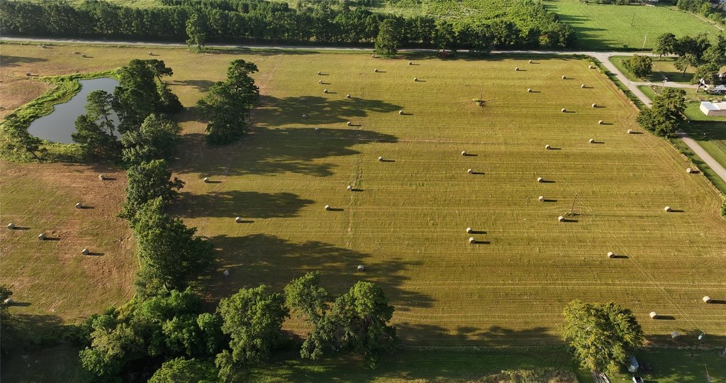 Montgomery, Texas, 77356, United States, ,Land,Forsale,1973429