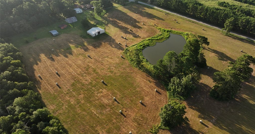 Montgomery, Texas, 77356, United States, ,Land,Forsale,1973429