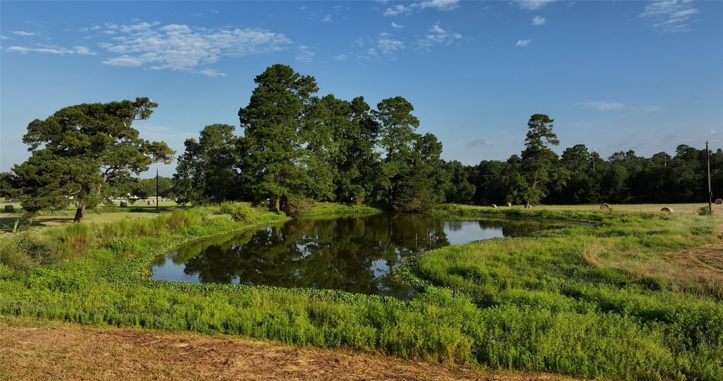 Montgomery, Texas, 77356, United States, ,Land,Forsale,1973429