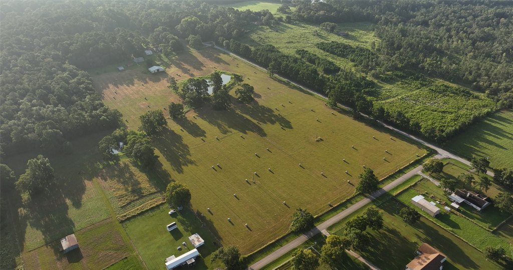 Montgomery, Texas, 77356, United States, ,Land,Forsale,1973429