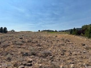 Reno, Nevada, 89511, United States, ,Land,Forsale,1936786