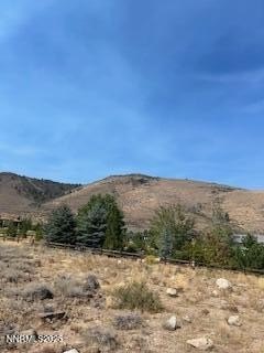 Reno, Nevada, 89511, United States, ,Land,Forsale,1936786