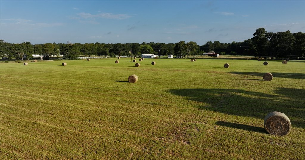 Montgomery, Texas, 77356, United States, ,Land,Forsale,1973429