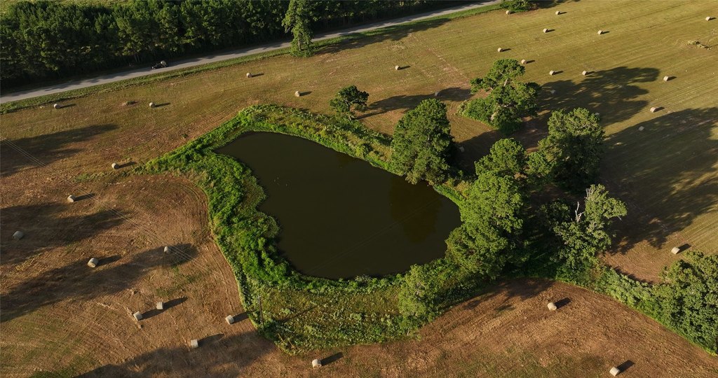 Montgomery, Texas, 77356, United States, ,Land,Forsale,1973429