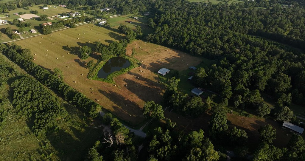 Montgomery, Texas, 77356, United States, ,Land,Forsale,1973429