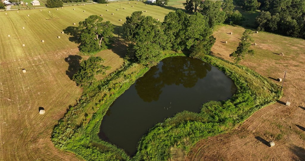 Montgomery, Texas, 77356, United States, ,Land,Forsale,1973429