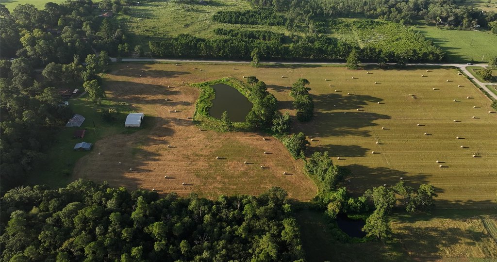 Montgomery, Texas, 77356, United States, ,Land,Forsale,1973429