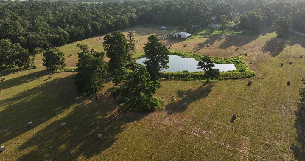 Montgomery, Texas, 77356, United States, ,Land,Forsale,1973429