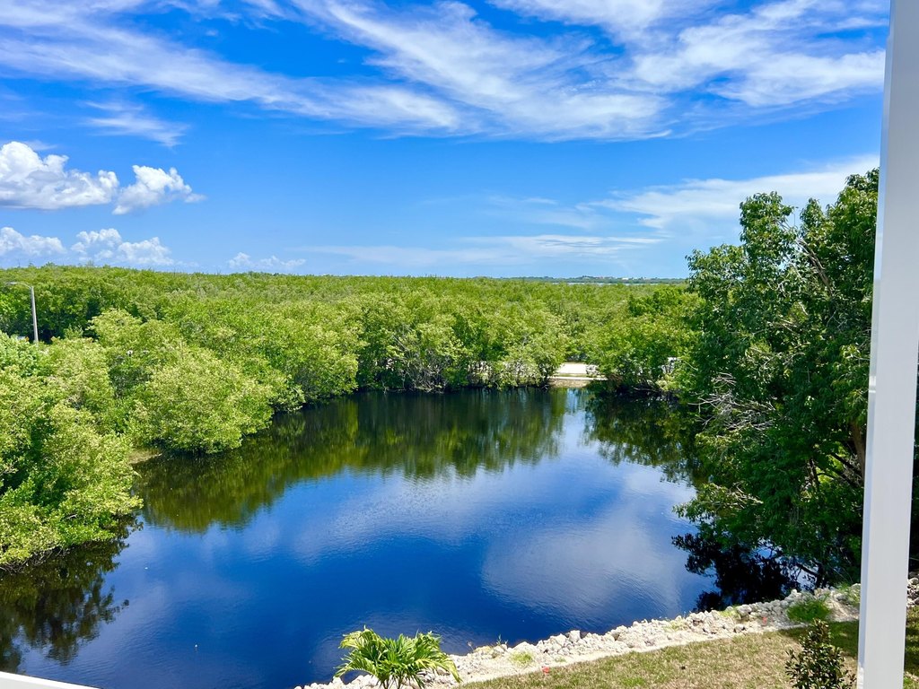 Marco Island, Florida, 34145, United States, 5 Bedrooms Bedrooms, ,4 BathroomsBathrooms,Residential,Forsale,2004761