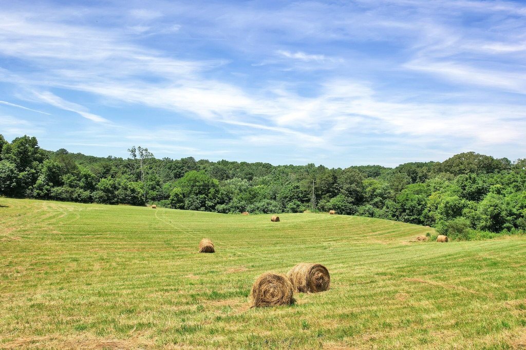 Cleveland, Tennessee, 37323, United States, 3 Bedrooms Bedrooms, ,2 BathroomsBathrooms,Residential,Forsale,2004696