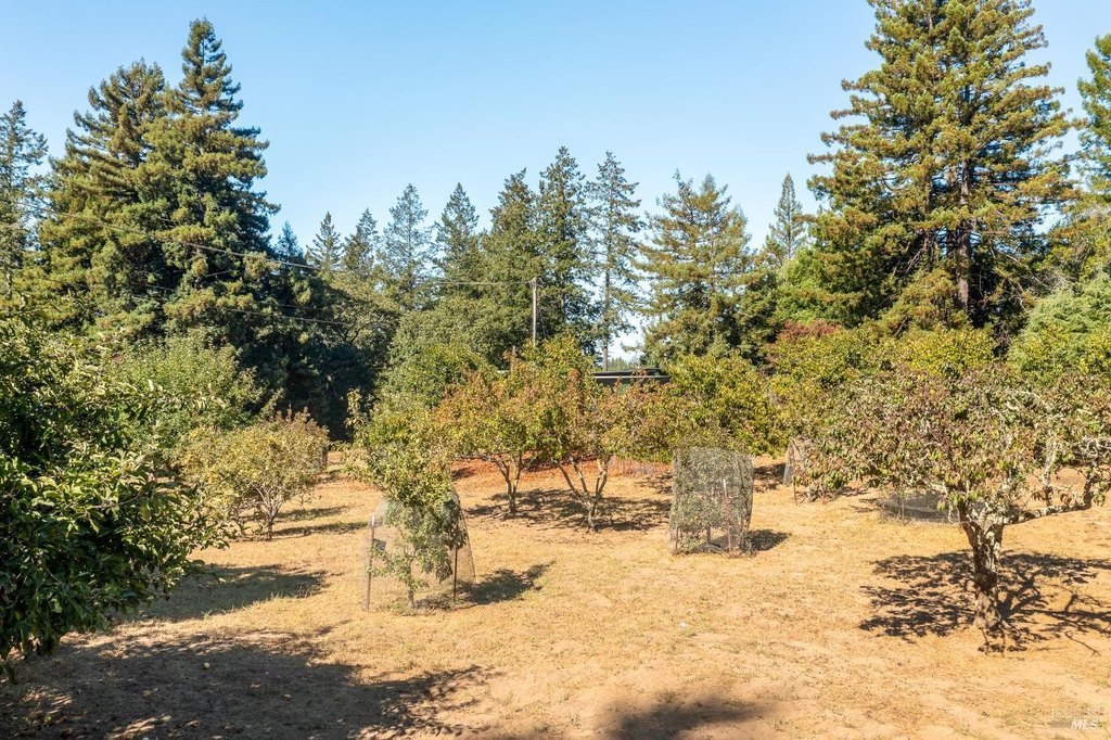 Sebastopol, California, 95472, United States, 4 Bedrooms Bedrooms, ,3 BathroomsBathrooms,Residential,Forsale,1985935