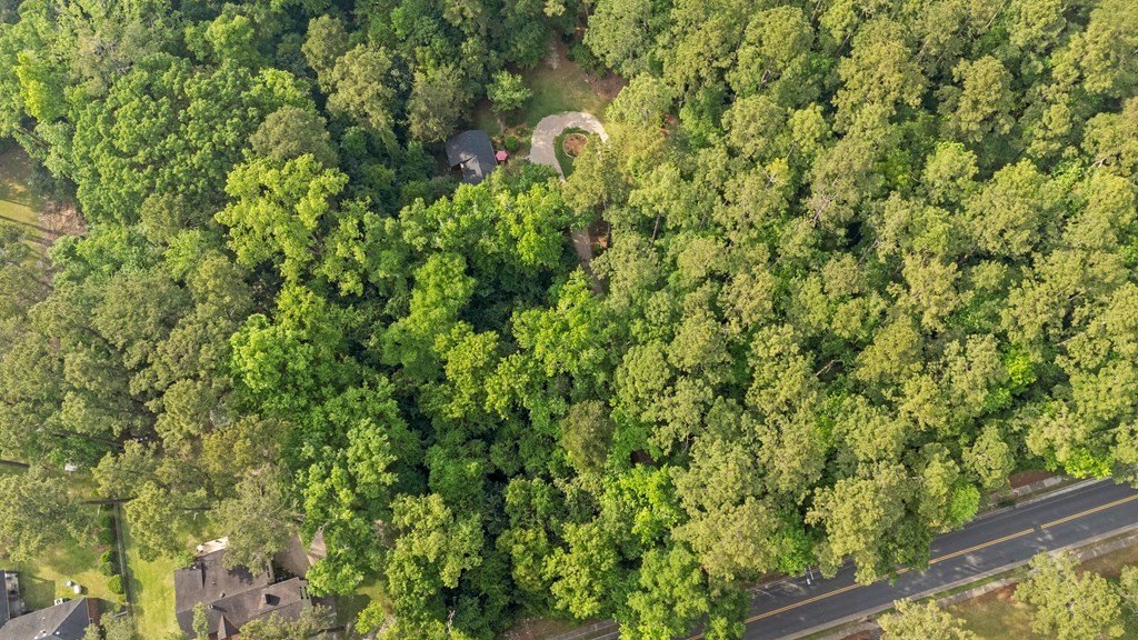 Thomasville, Georgia, 31792, United States, ,Land,Forsale,1946736