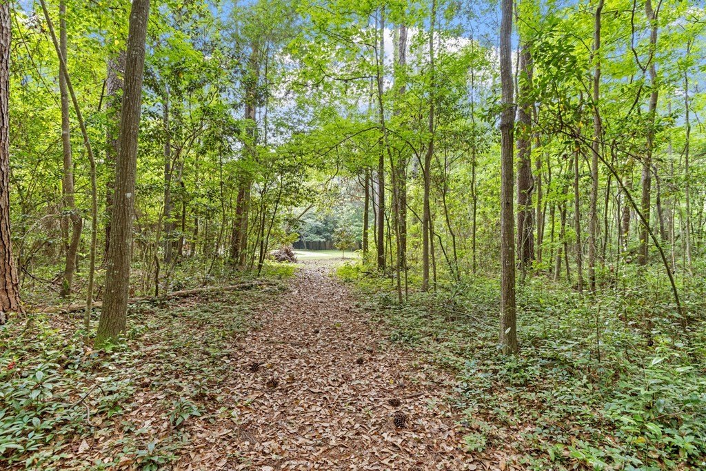 Thomasville, Georgia, 31792, United States, ,Land,Forsale,1946736