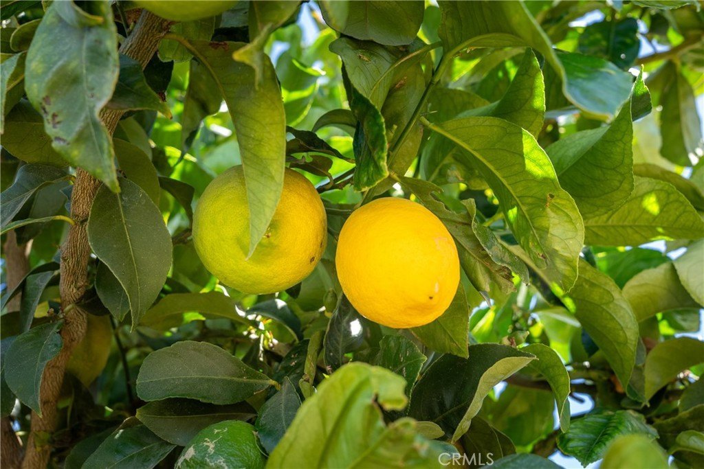 San Luis Obispo, California, 93401, United States, 2 Bedrooms Bedrooms, ,2 BathroomsBathrooms,Residential,Forsale,1993760