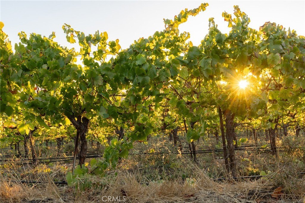 San Luis Obispo, California, 93401, United States, 2 Bedrooms Bedrooms, ,2 BathroomsBathrooms,Residential,Forsale,1993760