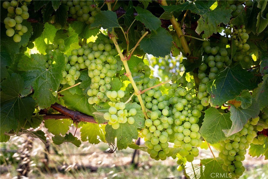 San Luis Obispo, California, 93401, United States, 2 Bedrooms Bedrooms, ,2 BathroomsBathrooms,Residential,Forsale,1993760