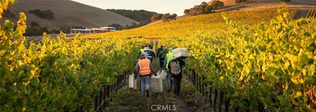 San Luis Obispo, California, 93401, United States, 2 Bedrooms Bedrooms, ,2 BathroomsBathrooms,Residential,Forsale,1993760