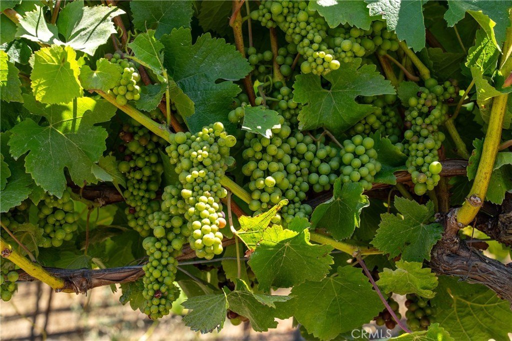 San Luis Obispo, California, 93401, United States, 2 Bedrooms Bedrooms, ,2 BathroomsBathrooms,Residential,Forsale,1993760