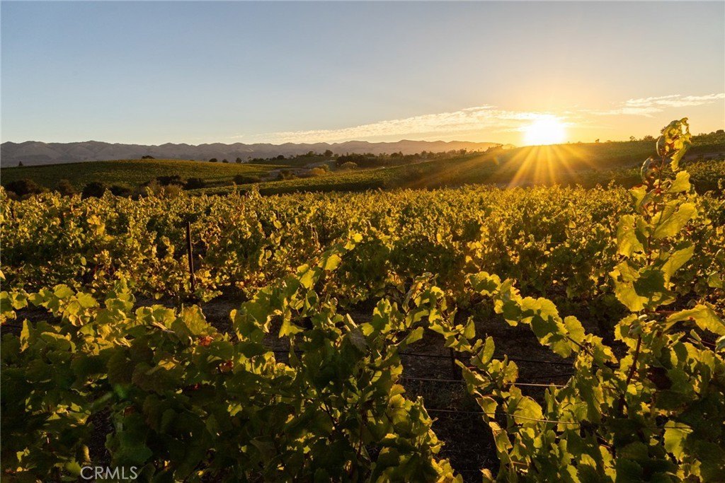 San Luis Obispo, California, 93401, United States, 2 Bedrooms Bedrooms, ,2 BathroomsBathrooms,Residential,Forsale,1993760