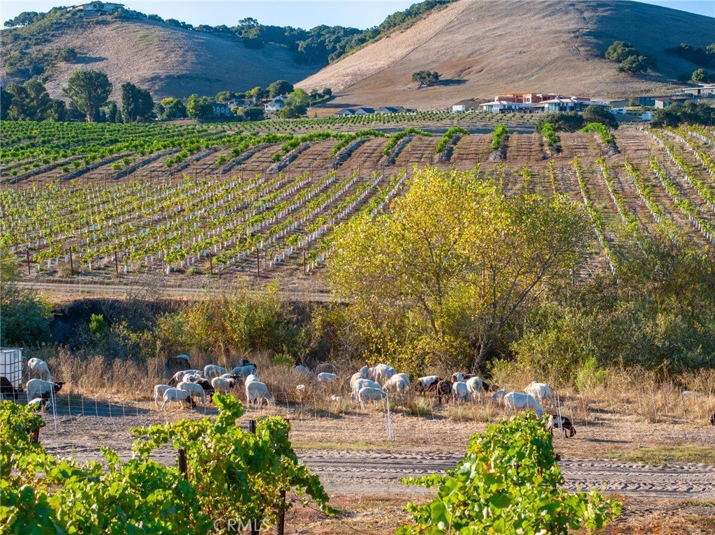 San Luis Obispo, California, 93401, United States, ,Land,Forsale,1929249