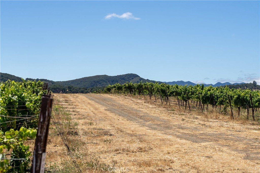 San Luis Obispo, California, 93401, United States, ,Land,Forsale,1929249